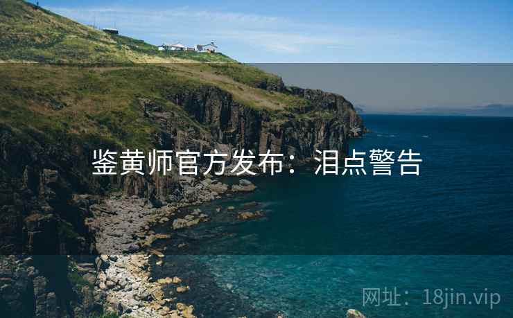 鉴黄师官方发布：泪点警告