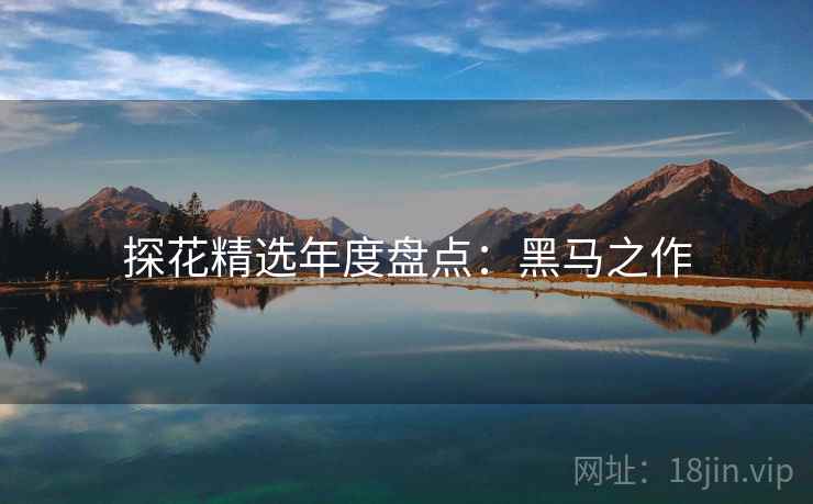 探花精选年度盘点：黑马之作
