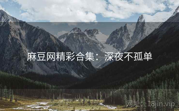 麻豆网精彩合集：深夜不孤单