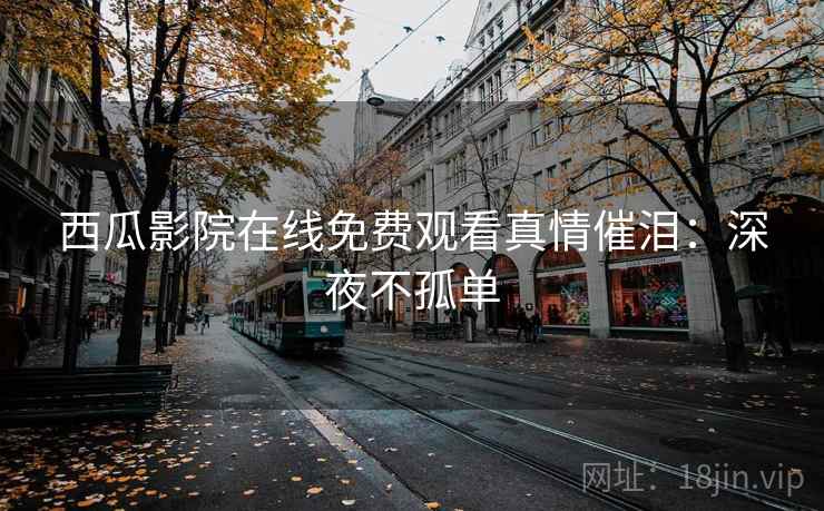 西瓜影院在线免费观看真情催泪：深夜不孤单